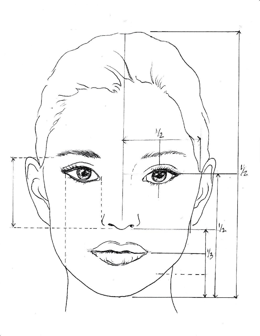 facial proportions worksheet