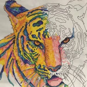 Drawing Lesson Animal Portraits in Marker